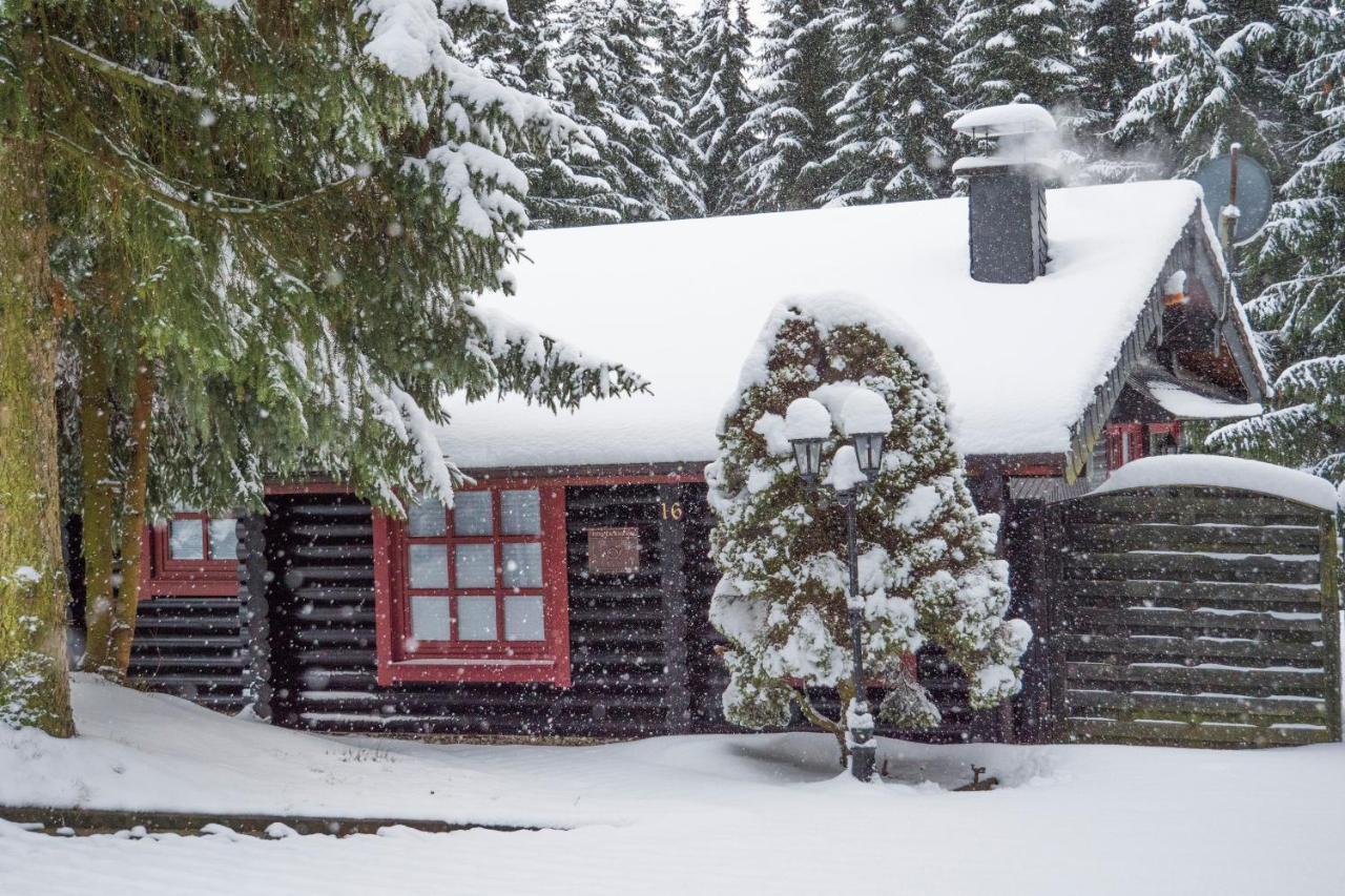 Ferienhaus Naturliebe Winterberg Luaran gambar